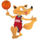 https://img.hzmroa.com/img/basketball/team/02db543865099b04638d400b476bca7d.png